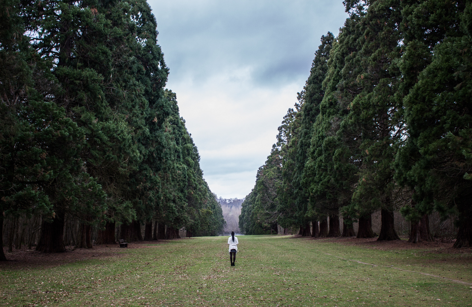 Aureliendeschampsequilbre